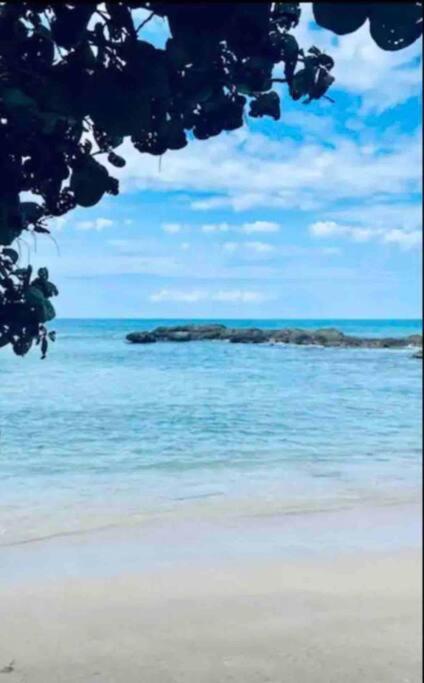 Natty'S Cozy Beach House In Hanover Jamaica Lucea Esterno foto