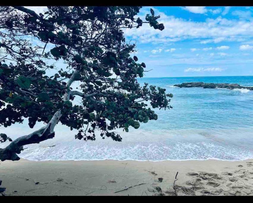 Natty'S Cozy Beach House In Hanover Jamaica Lucea Esterno foto