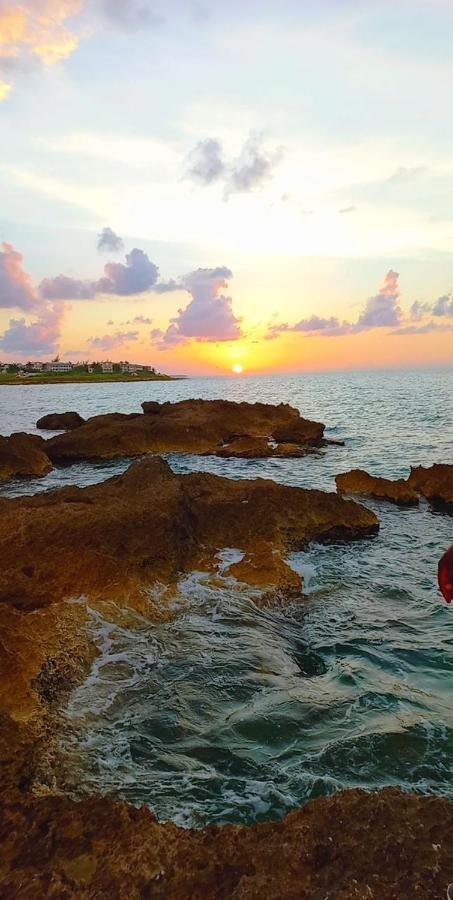 Natty'S Cozy Beach House In Hanover Jamaica Lucea Esterno foto
